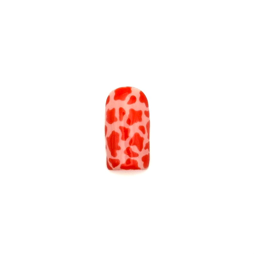 Cow print