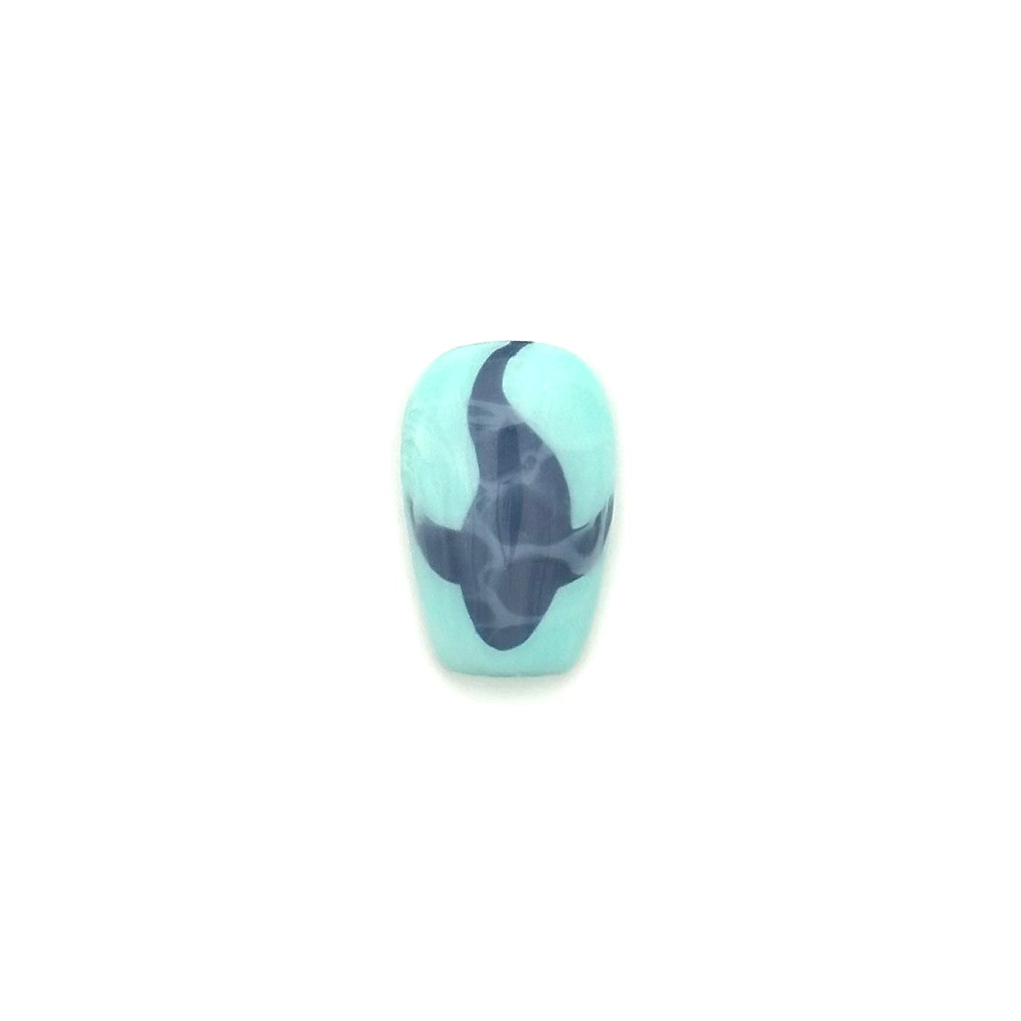 Shark in Water