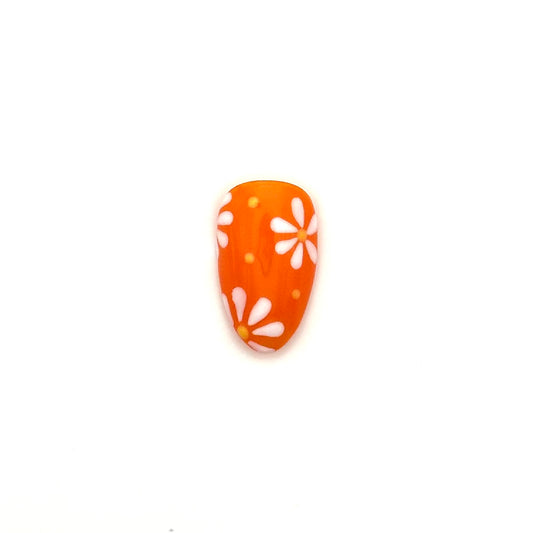 Orange Daisies