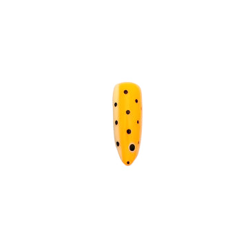 Fishing Lure