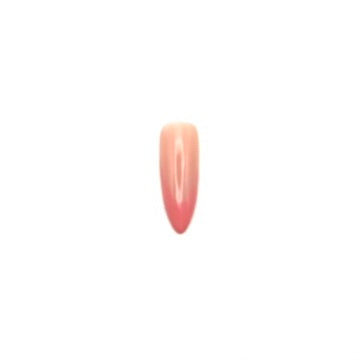 French Tip