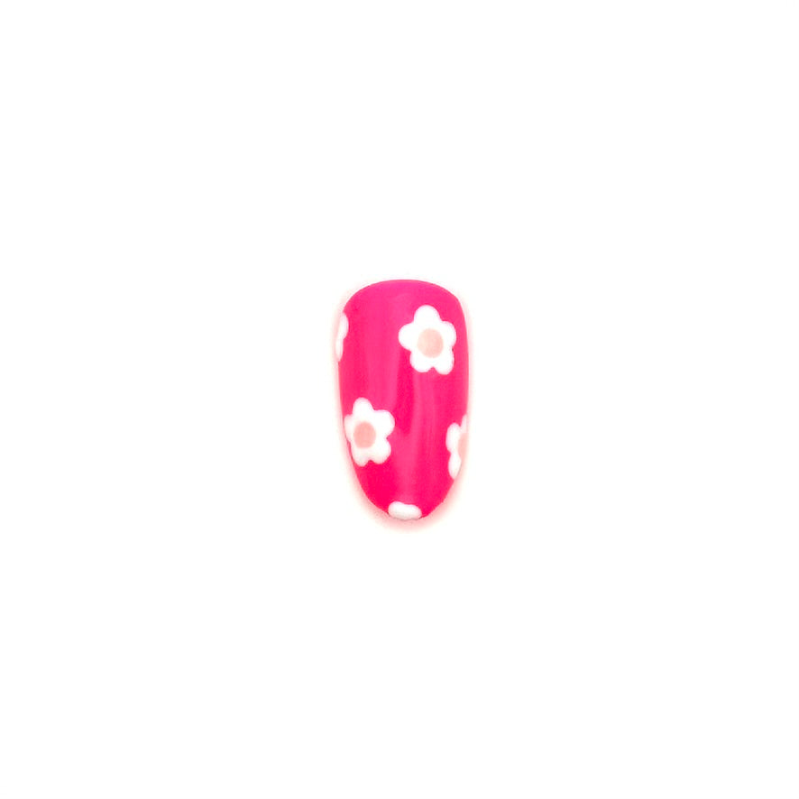Pink Daisies