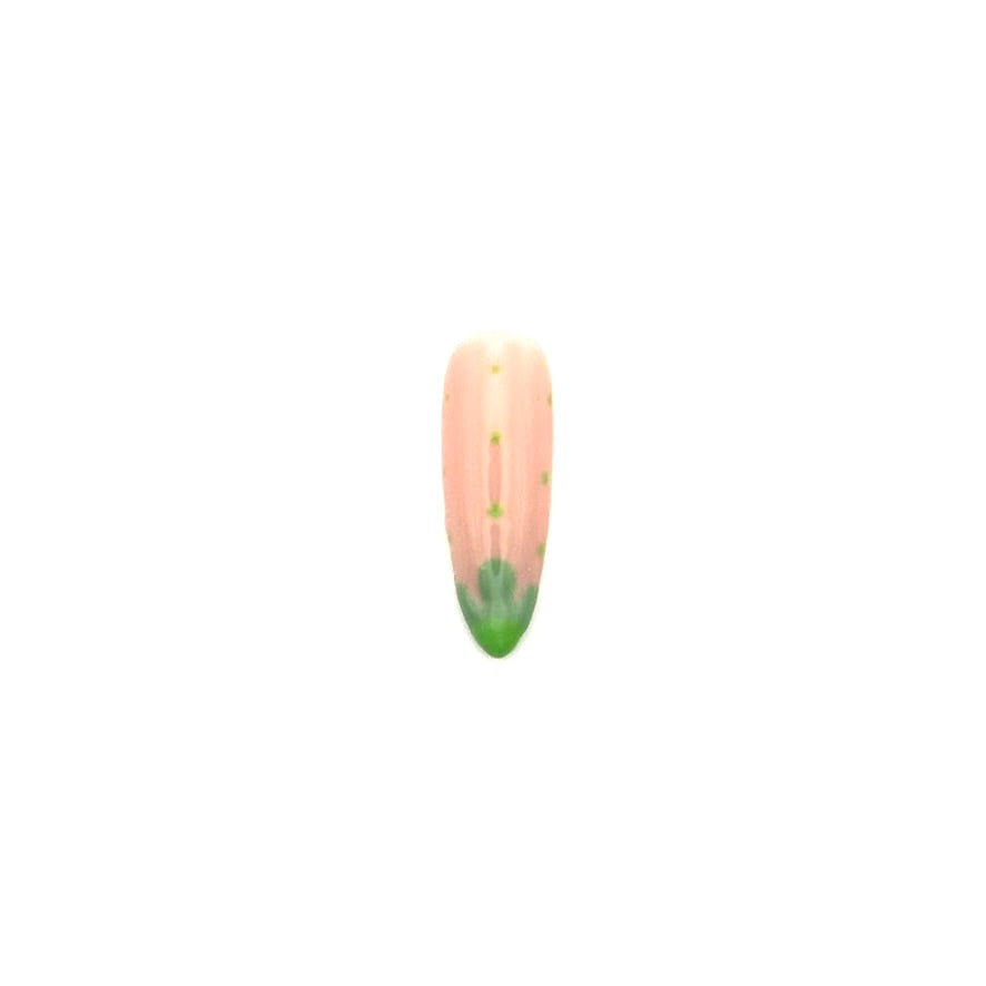 Succulent