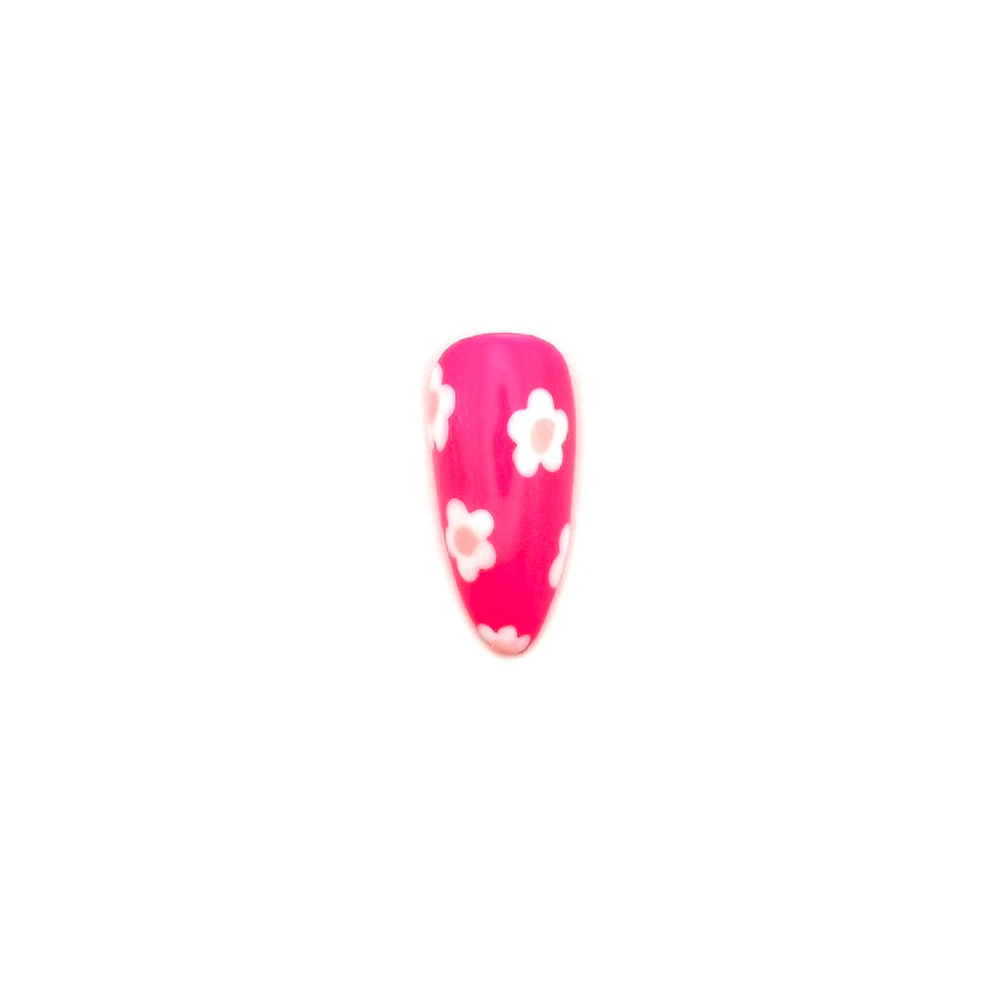 Pink Daisies