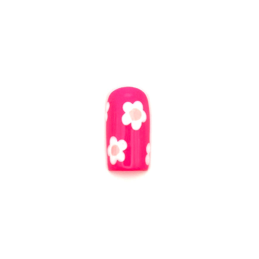 Pink Daisies