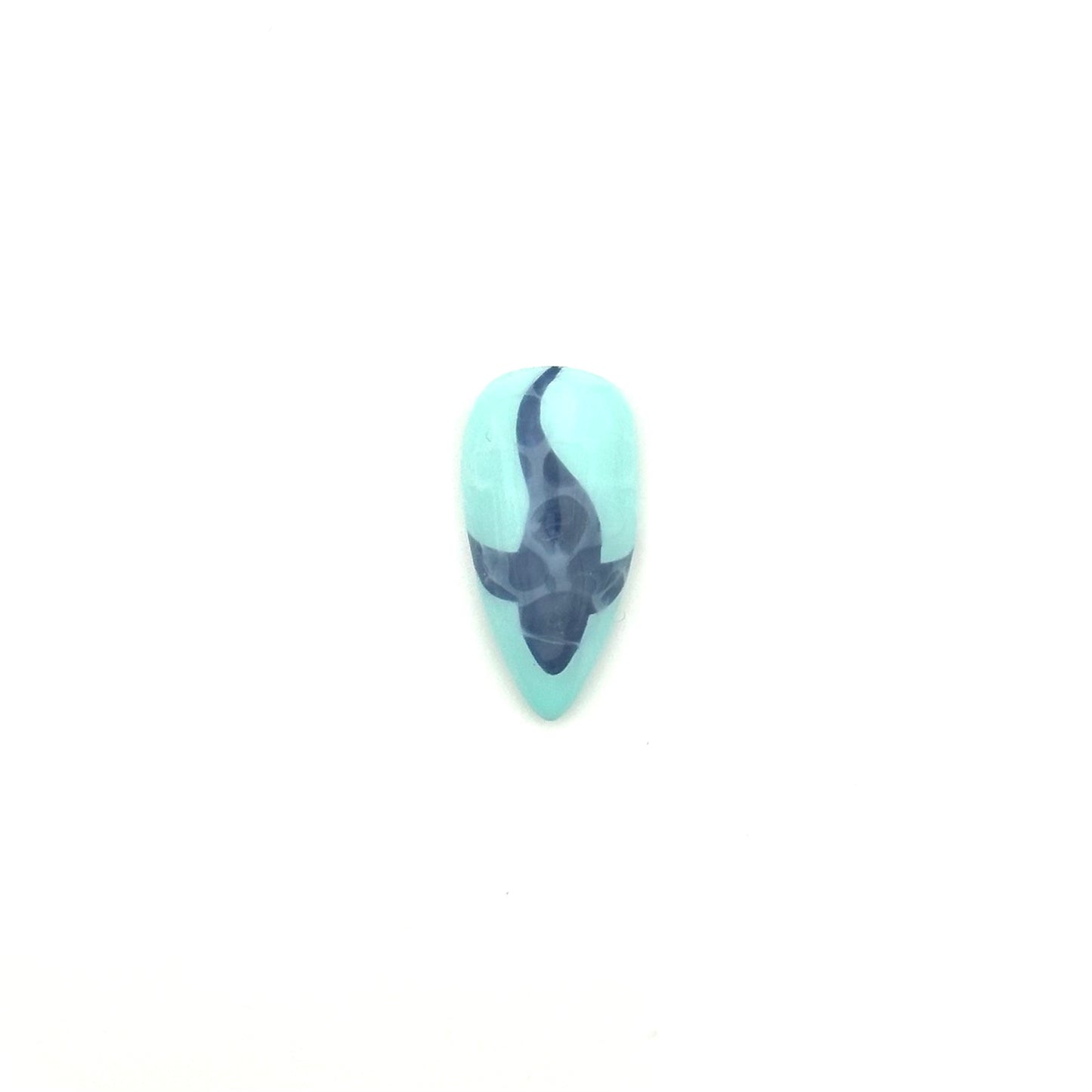 Shark in Water