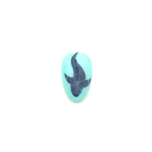 Shark in Water