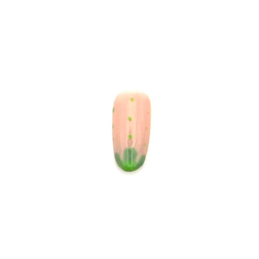 Succulent