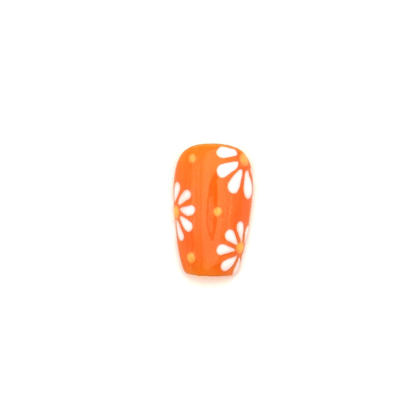 Orange Daisies