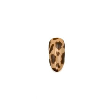 Cow Print