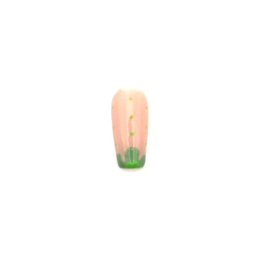Succulent