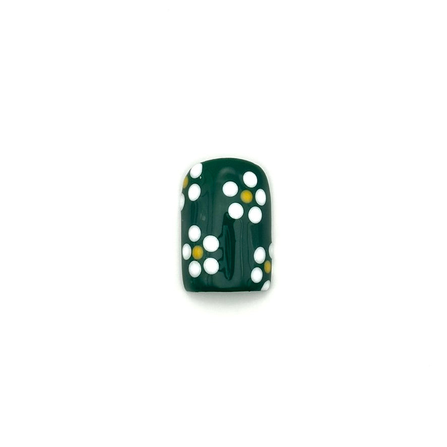 Daisies