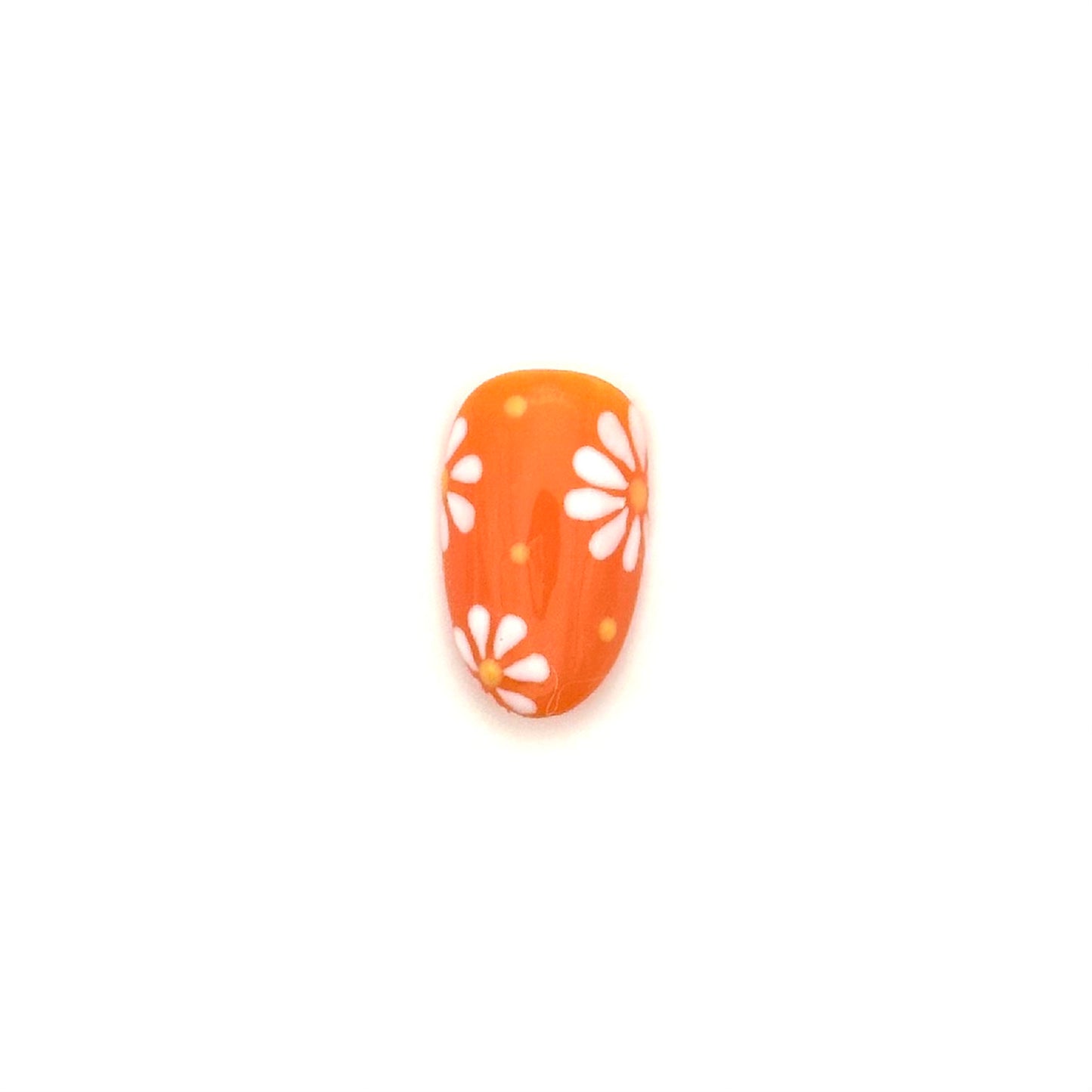 Orange Daisies